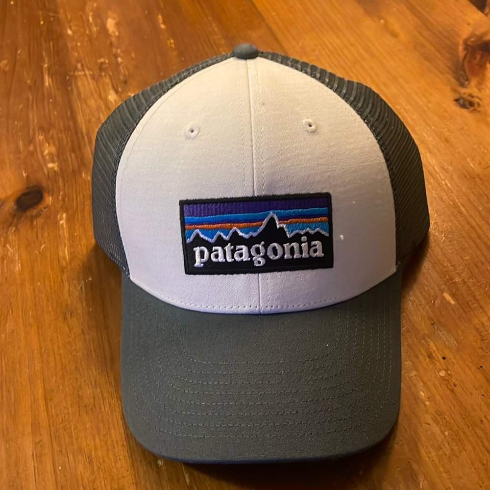 Patagonia P-6 Logo LoPro Trucker Hat